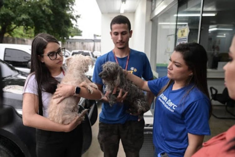 Foto: Divulgação