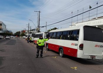 Foto: Divulgação / IMMU