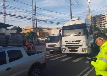 Foto: Divulgação / IMMU