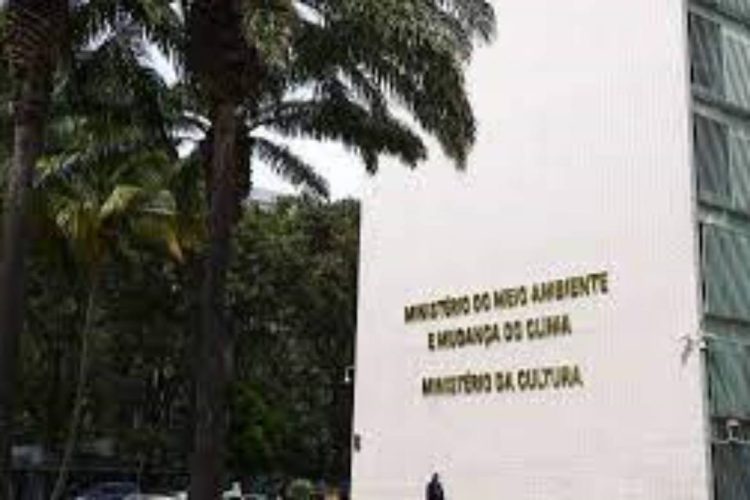 Foto: Reprodução / Internet