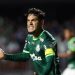 Foto: Cesar Greco/Palmeiras