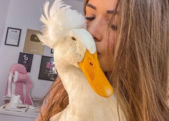 Foto: Reprodução/ Instagram