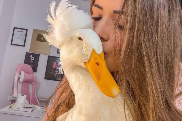 Foto: Reprodução/ Instagram