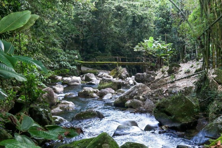 Foto: Tania Rego/Agência Brasil