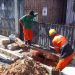 Foto: Divulgação/Seminf