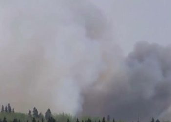 Reprodução | Agência Brasil