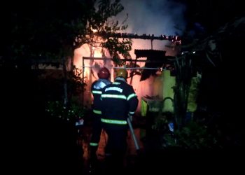 FOTOS: Divulgação/CBMAM