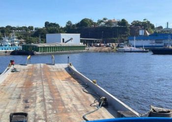 Foto: Erlon Rodrigues e Divulgação/PC-AM