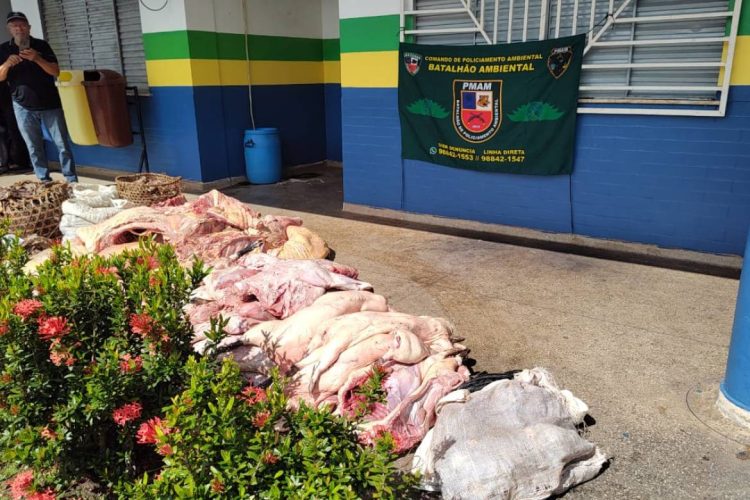 Foto: Divulgação/SSP-AM
