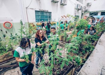 Foto: Érico Xavier/FAPEAM