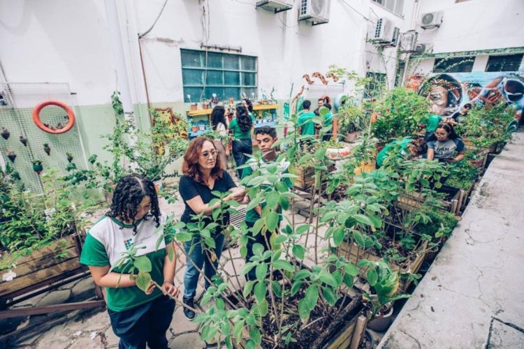 Foto: Érico Xavier/FAPEAM