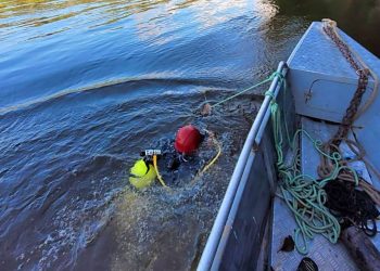 Foto: Divulgação/CBMAM