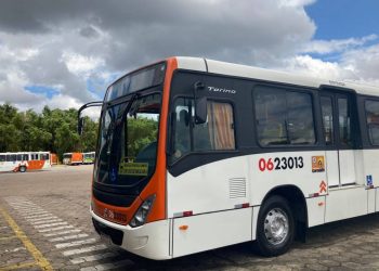 Foto: Divulgação / IMMU