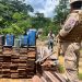 Foto: Divulgação/SSP-AM