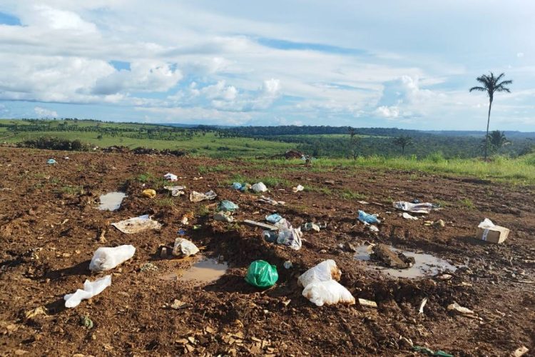 Foto: Divulgação/Sema