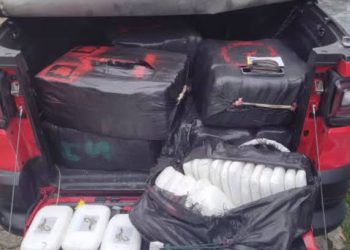 Foto: Divulgação/PMAM