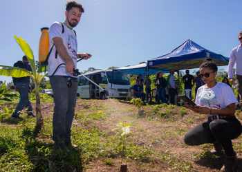 Pesquisa avalia o efeito da ‘arbolina’ em sistemas de plantio, com foco na absorção de carbono . Foto: Acervo Shell Brasil