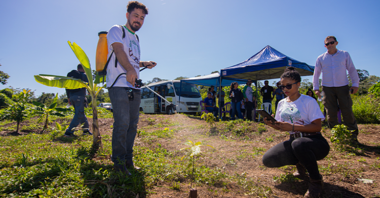 Pesquisa avalia o efeito da ‘arbolina’ em sistemas de plantio, com foco na absorção de carbono . Foto: Acervo Shell Brasil