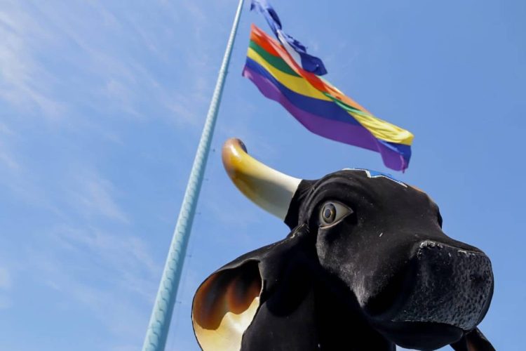 Fotos: Divulgação/Sejusc