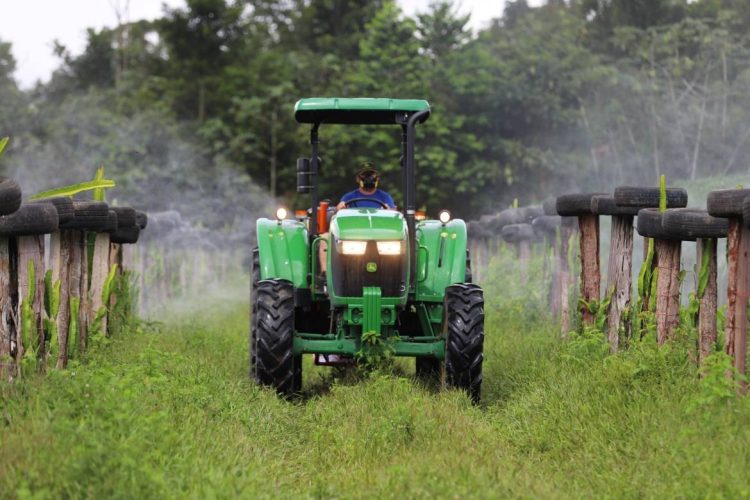 Foto: Isaac Maia/Sepror