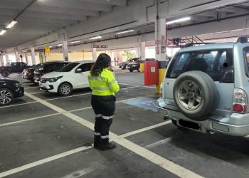 Foto: Divulgação / IMMU