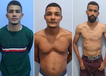 Foto: Divulgação/PC-AM