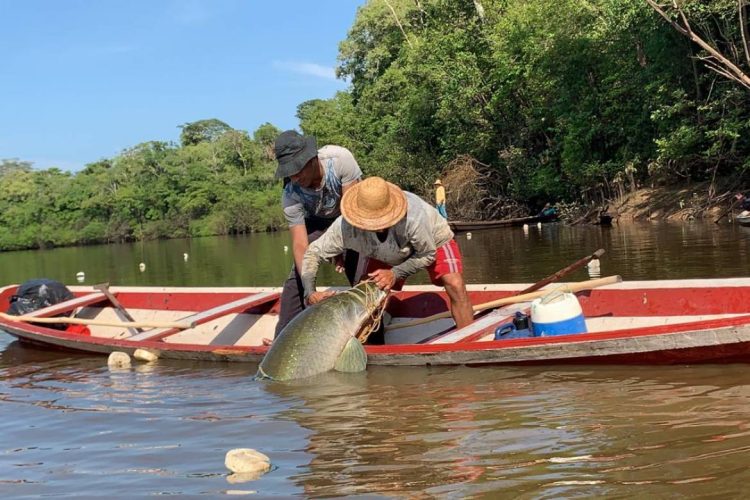 Foto: Divulgação/ADS