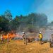 FOTOS: Divulgação/CBMAM