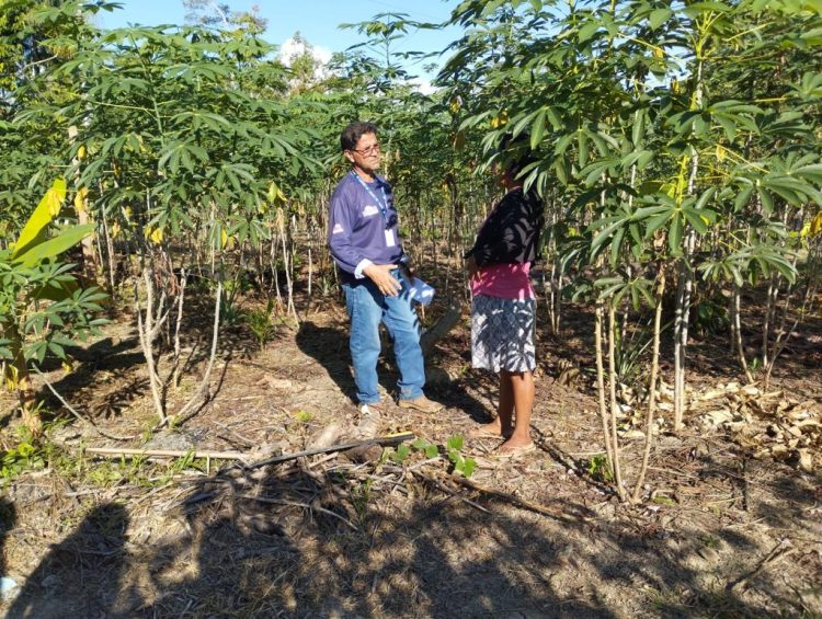 FOTOS: Divulgação/Idam