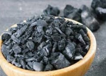 Foto: Reprodução / Internet