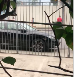 Reprodução | Whatsapp