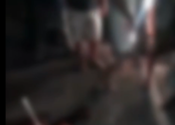 Foto: Reprodução | Whatsapp