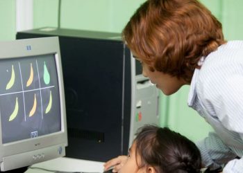 Banco Mundial e BID também se comprometeram a agir em conjunto para promover o desenvolvimento digital - Foto: Banco Mundial