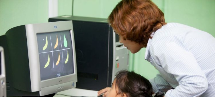 Banco Mundial e BID também se comprometeram a agir em conjunto para promover o desenvolvimento digital - Foto: Banco Mundial