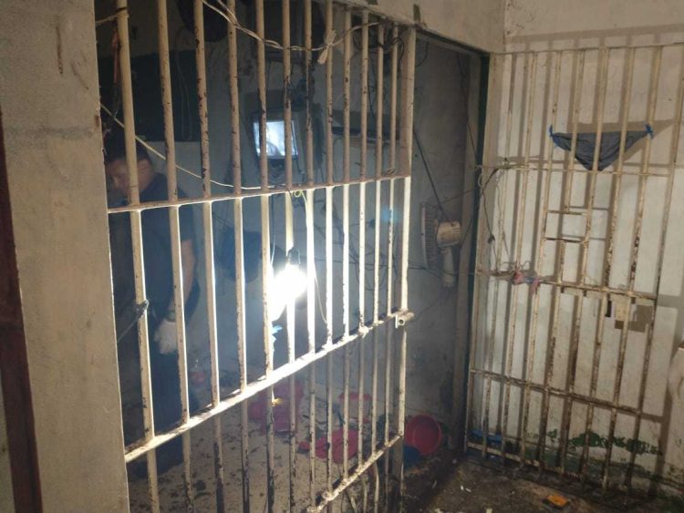 Foto: Divulgação | MPAM