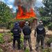 Foto: Polícia Federal