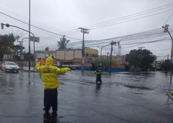 Foto: © Prefeitura POA/Divulgação