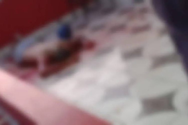 Foto: Reprodução/WhatsApp