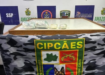 Foto: Divulgação | SSP-AM