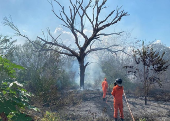 Incêndio Caatiga - Foto: Instagram@cbmepi