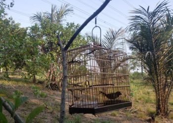 FOTOS: Divulgação/PC-AM.