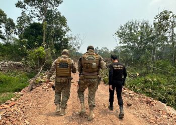 Foto: Divulgação | PF