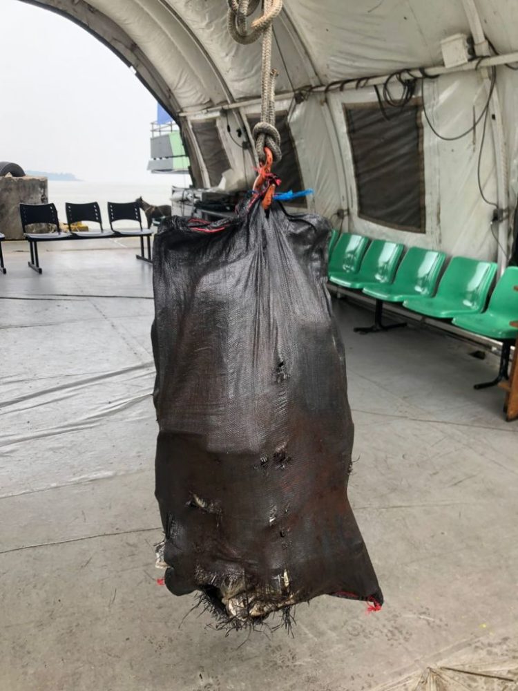 Foto: Divulgação | SSP-AM