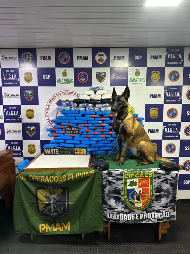 FOTOS: Divulgação/SSP-AM