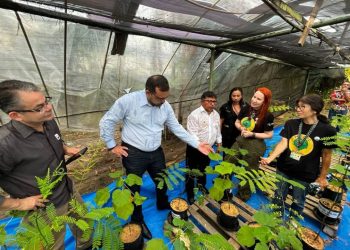 Foto: Camila Alves/Semig-AM