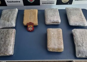 Foto: Divulgação/PC-AM