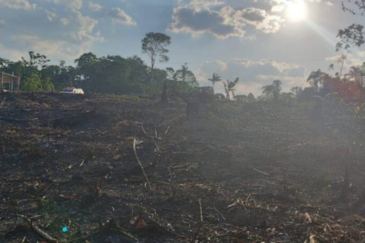 Foto: Divulgação/PMAM