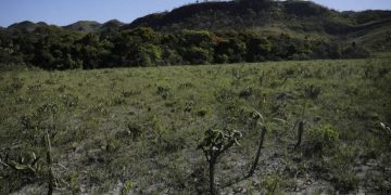 Foto: Joédson Alves/Agência Brasil