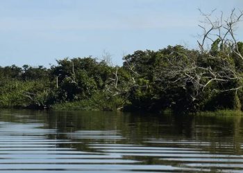 Foto: Tânia Rêgo/Agência Brasil