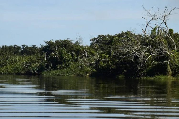 Foto: Tânia Rêgo/Agência Brasil